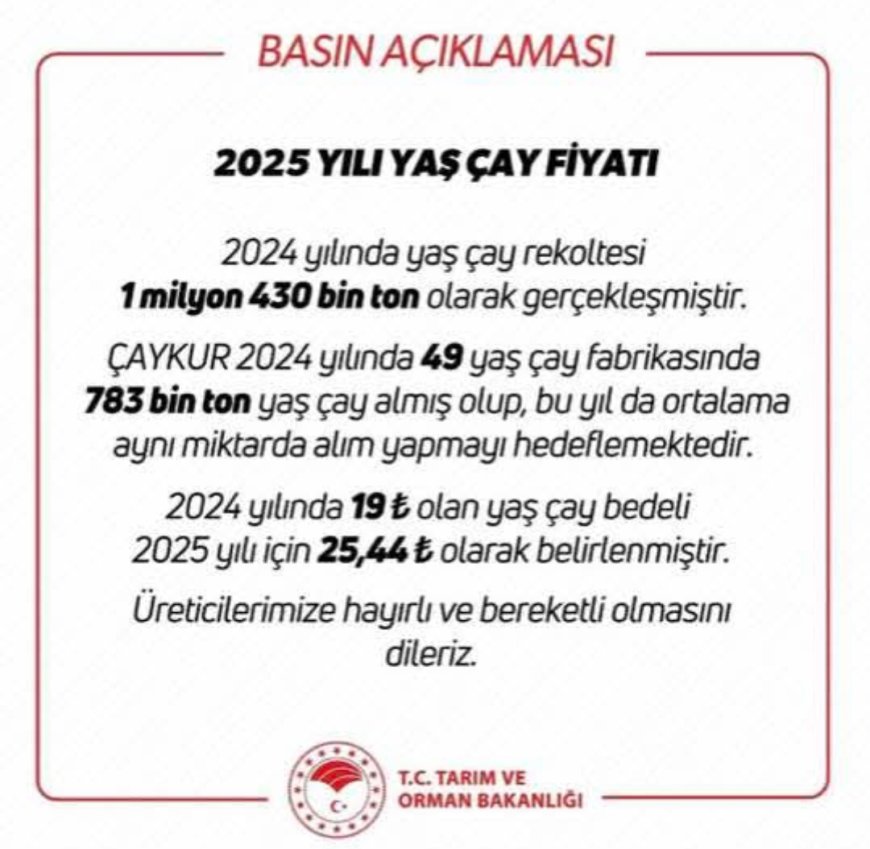 2025 Yılı Yaş Çay Alım Fiyatı Açıklandı