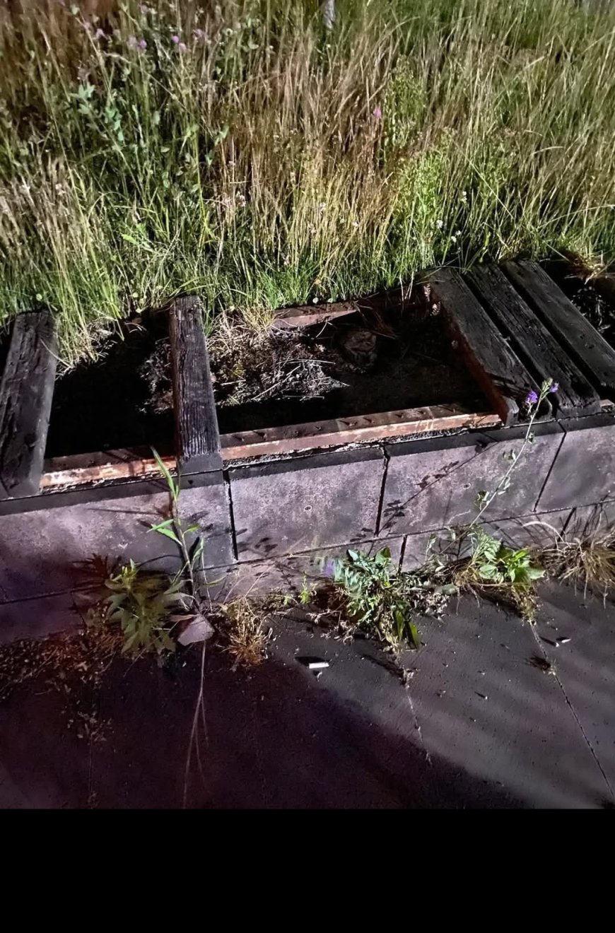 OFLULARI RİZE SAHİLİNE Mİ GÖNDERMEYİ DÜŞÜNÜYORSUNUZ ?!