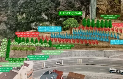 Trabzon Barosu doğa ve hukuk ormanı projesini başlattı